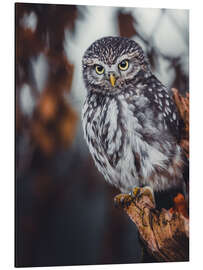 Magnettafel Kleiner Wächter