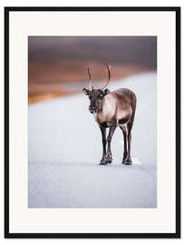 Gerahmter Kunstdruck Freches Rentier