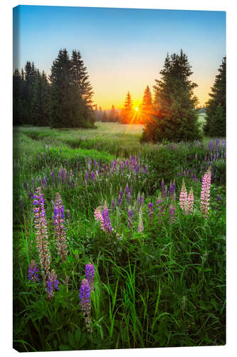 Lienzo Summer evening in the Ore Mountains