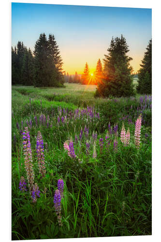 Foam board print Summer evening in the Ore Mountains