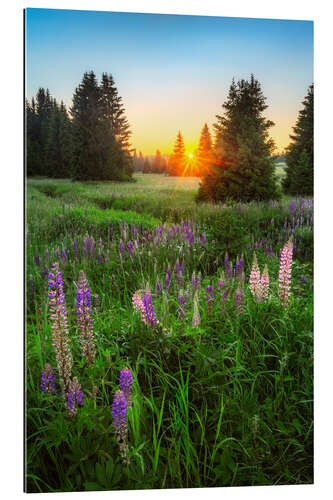 Gallery print Summer evening in the Ore Mountains