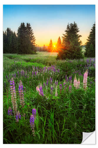 Wall sticker Summer evening in the Ore Mountains