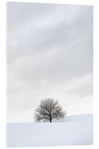 Tableau en verre acrylique Winter Landscape With Tree