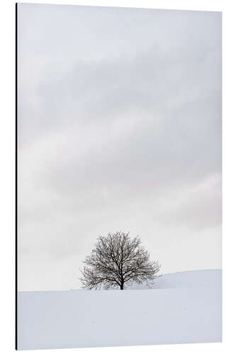 Alumiinitaulu Winter Landscape With Tree