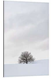 Aluminiumtavla Winter Landscape With Tree