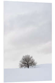 Foam board print Winter Landscape With Tree