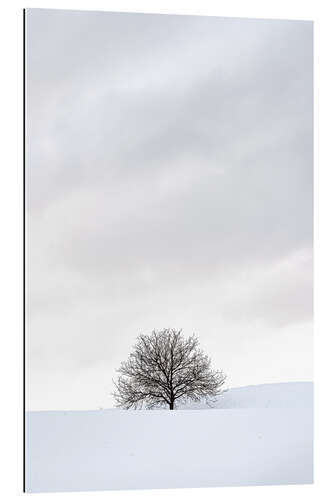 Gallery Print Winterlandschaft mit Baum