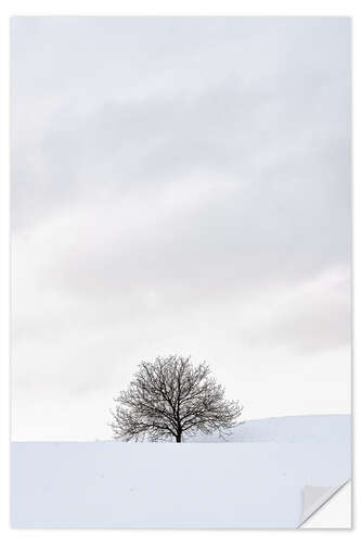 Sticker mural Winter Landscape With Tree