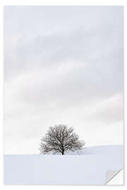 Vinilo para la pared Winter Landscape With Tree