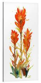 Tableau en aluminium Indian Paintbrush Flower II