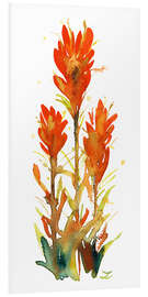 Foam board print Indian Paintbrush Flower II