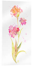 Acrylglasbild Rosa Wildblume