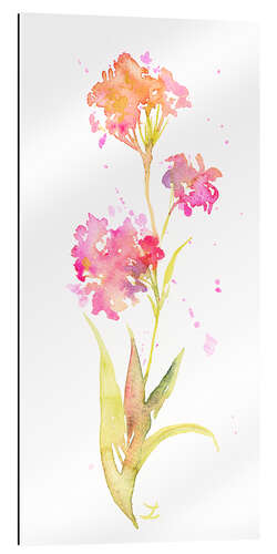 Gallery print Pink Wildflower