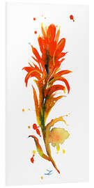 PVC print Indian Paintbrush Flower I