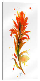 Galleriprint Indian Paintbrush Flower I