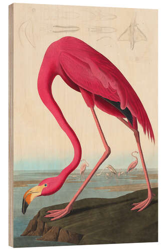 Wood print American flamingo - The Birds of America