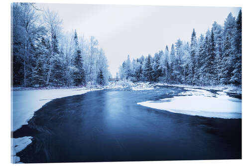 Stampa su vetro acrilico River through the forest