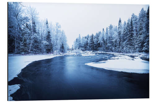 Aluminiumtavla River through the forest