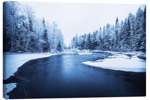 Quadro em tela River through the forest