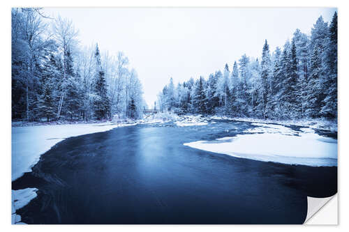 Vinilo para la pared River through the forest