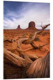 Acrylic print Dead tree at Monument Valley