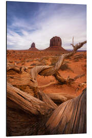 Cuadro de aluminio Dead tree at Monument Valley