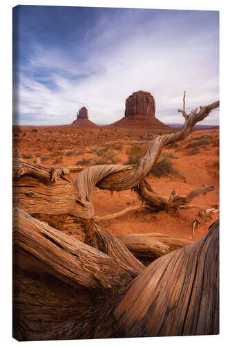 Canvas print Dead tree at Monument Valley