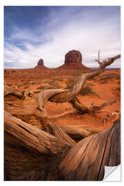 Naklejka na ścianę Dead tree at Monument Valley