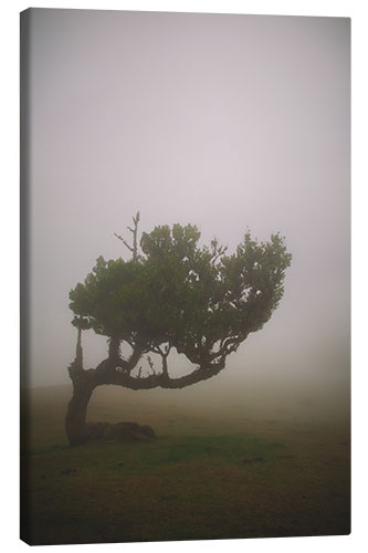 Quadro em tela Tree in the fog