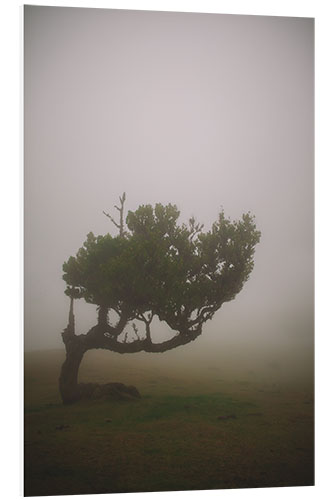 Hartschaumbild Nebelbaum