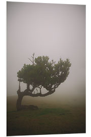 Tableau en PVC Tree in the fog