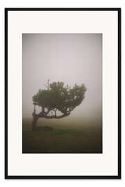 Gerahmter Kunstdruck Nebelbaum