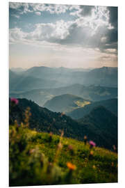 Foam board print Alpine meadow