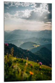 Gallery print Alpine meadow