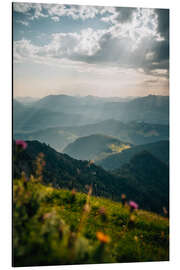 Magnettafel Almwiese