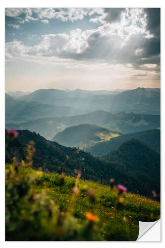 Selvklæbende plakat Alpine meadow