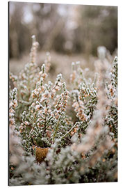 Cuadro de aluminio Frost-covered heathland