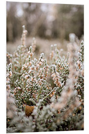 Foam board print Frost-covered heathland