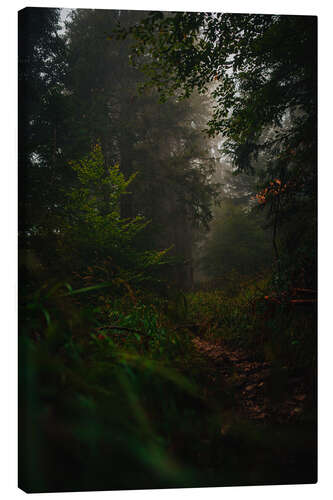 Canvas print Forest path in the fog