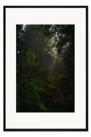 Gerahmter Kunstdruck Waldweg im Nebel