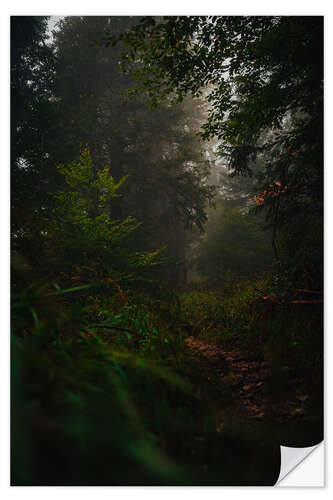 Selvklebende plakat Forest path in the fog