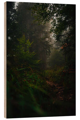 Quadro de madeira Forest path in the fog