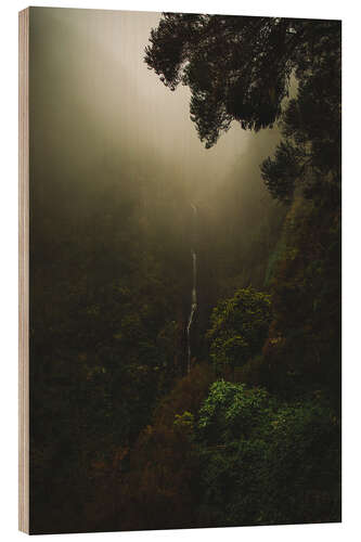 Holzbild Risco-Wasserfall in Portugal