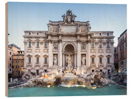 Quadro de madeira Trevi fountain in Rome, Italy