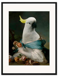 Gerahmter Kunstdruck Porträt eines Kakadu