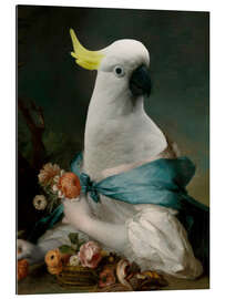 Gallery print Portrait of a cockatoo