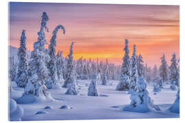 Acrylic print Colours of winter