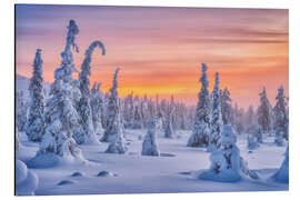 Magnettafel Farben des Winters