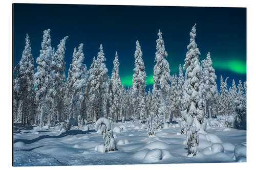 Tableau en aluminium Polar night in Lapland