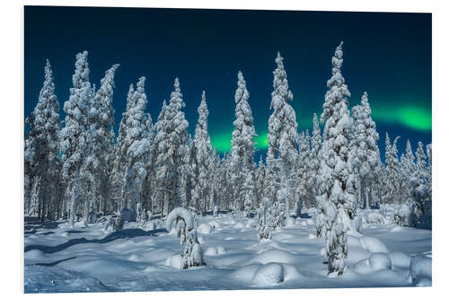 Foam board print Polar night in Lapland